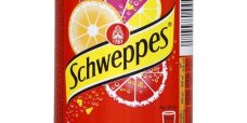 schweppes-agrume-boite-33-cl